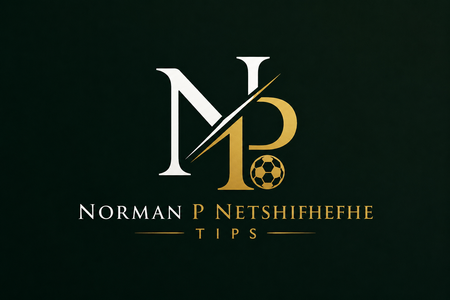 Norman P Netshifhefhe TIPS